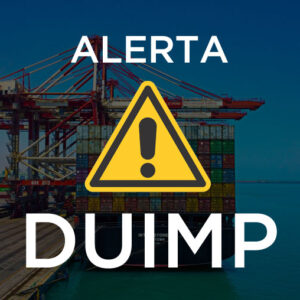 Alerta DUIMP: O que fazer diante da limitação de envio a 100 itens no Catálogo de Produtos
