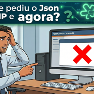 O cliente pediu o JSON da DUIMP e agora?