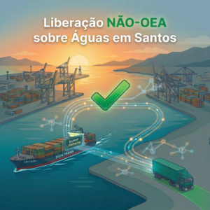 Desembaraço sobre águas em Santos! Revelação do canal da DUIMP agora é realidade para empresas NÃO-OEA.